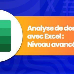 Analyse de données avec Excel - Niveau Avancé